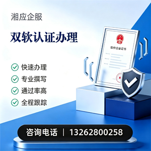 泉州双软认证申报服务