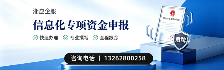 泉州信息化专项资金申报服务