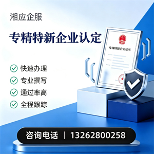泉州专精特新企业申报服务