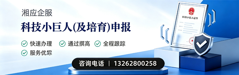 泉州科技小巨人及培育企业申报服务
