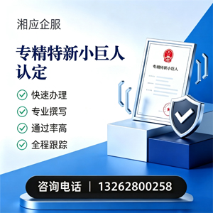 泉州专精特新小巨人申报服务