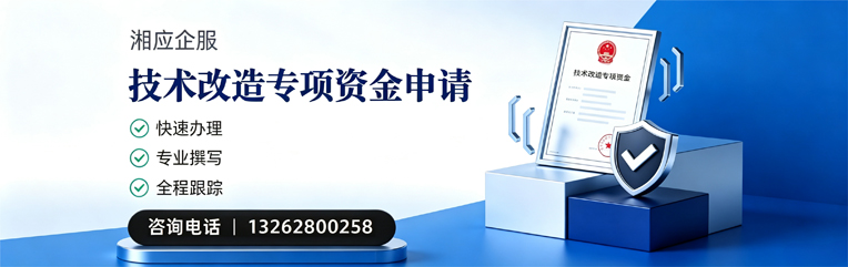 泉州技术改造专项资金申报服务