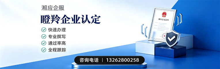 泉州瞪羚企业认定申报服务