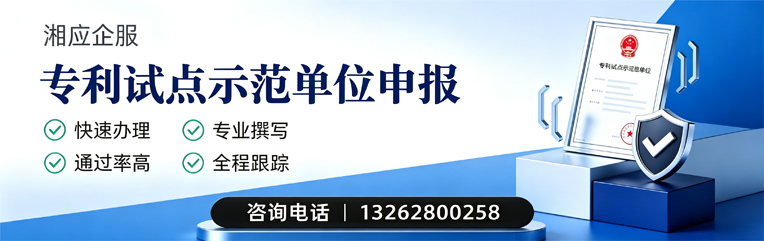 泉州专利试点示范单位申报服务