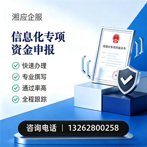 泉州信息化专项资金申报服务