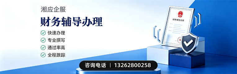 泉州财务辅导申请服务