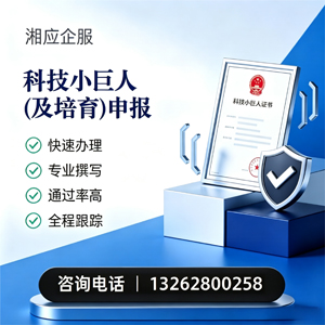 泉州科技小巨人及培育企业申报服务
