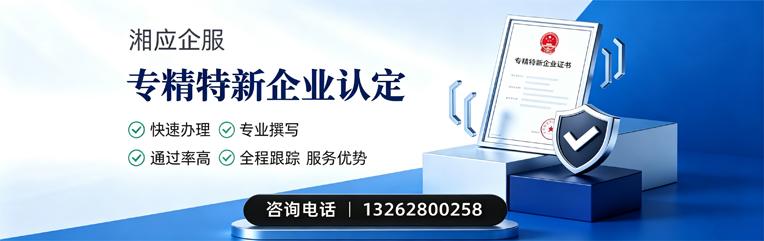 泉州专精特新企业申报服务
