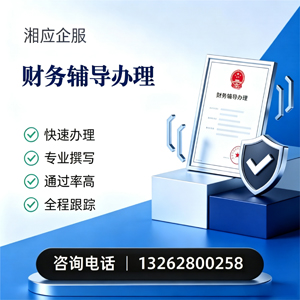 泉州财务辅导申请服务