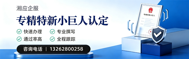 泉州专精特新小巨人申报服务